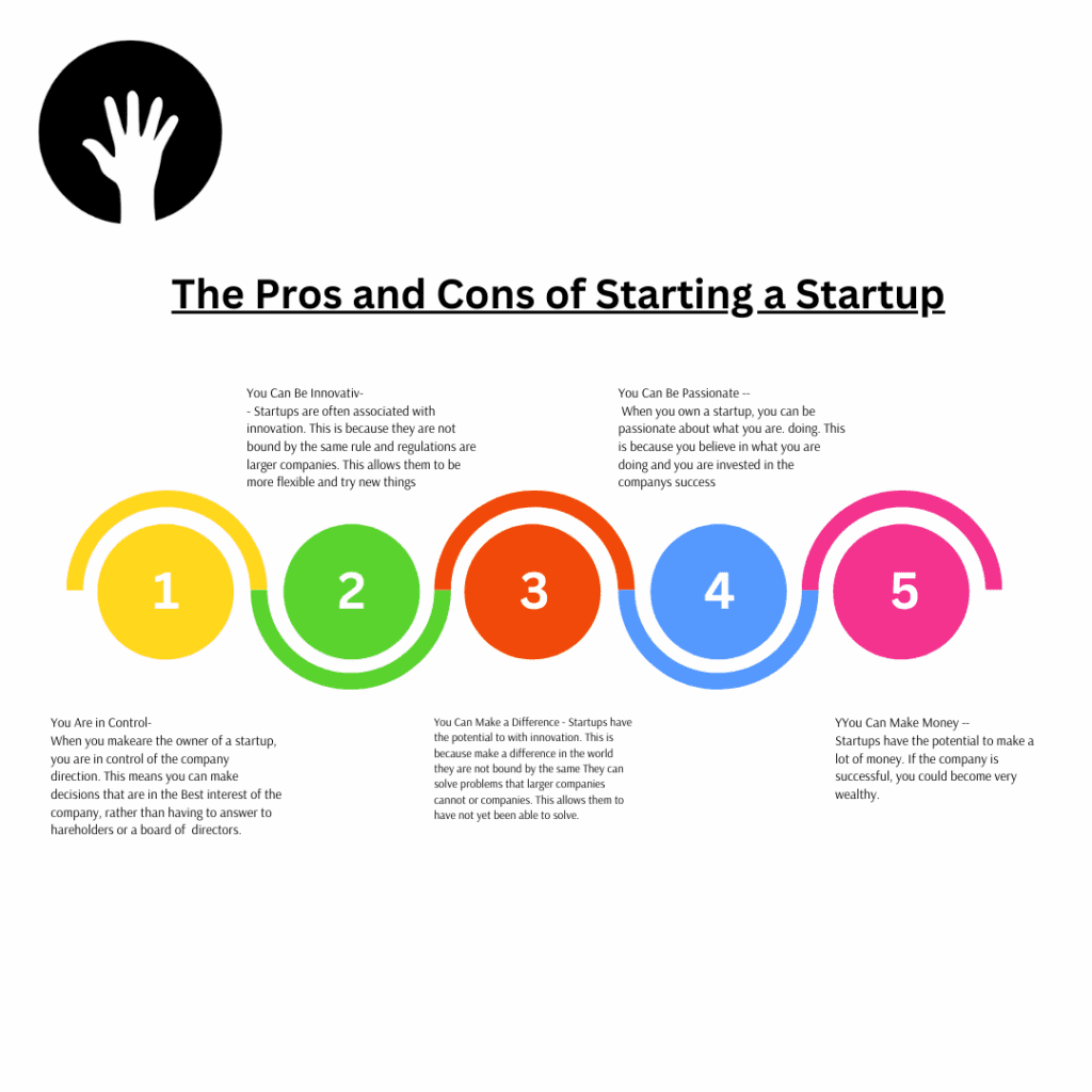 Startup vs. Established Company